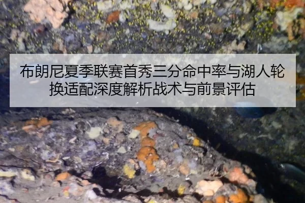 bu-lang-ni-xia-ji-lian-sai-shou-xiu-san-fen-ming-zhong-lv-yu-hu-ren-lun-huan-shi-pei-shen-du-jie-xi-zhan-shu-yu-qian-2-707.jpg