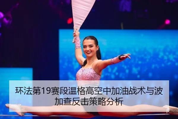 huan-fa-di-sai-duan-wen-ge-gao-kong-zhong-jia-you-zhan-shu-yu-bo-jia-cha-fan-ji-ce-lve-fen-xi-2-953.jpg
